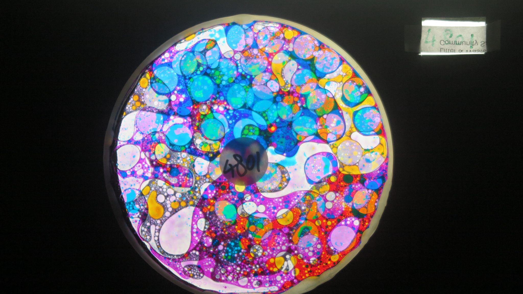 BV4801 bubble vision oil wheel